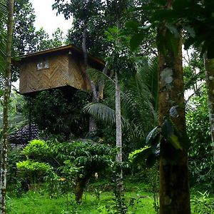 Tree House